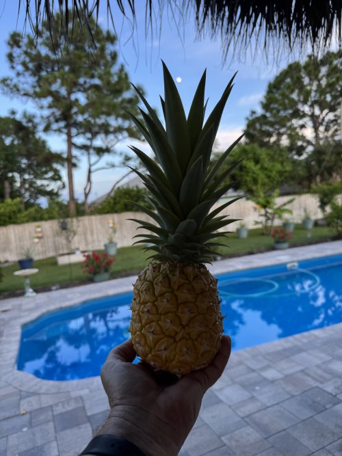 IMG_2097.jpeg IMG_2097.jpeg