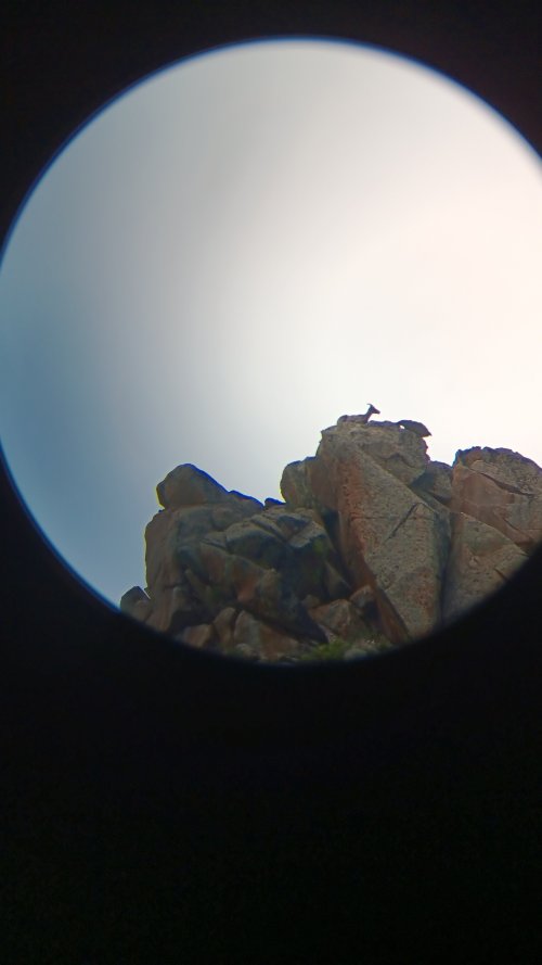 20250706_154026.jpg