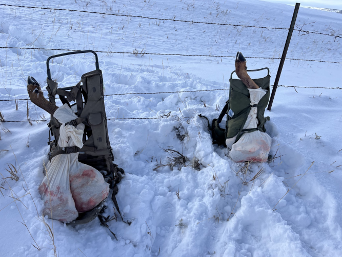 1751994696538.png 1751994696538.png