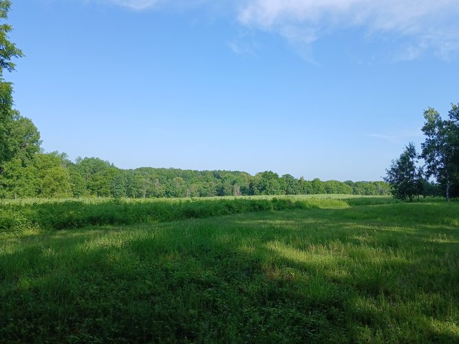 20250704_085229.jpg