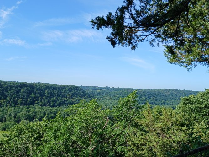 20250704_082140.jpg