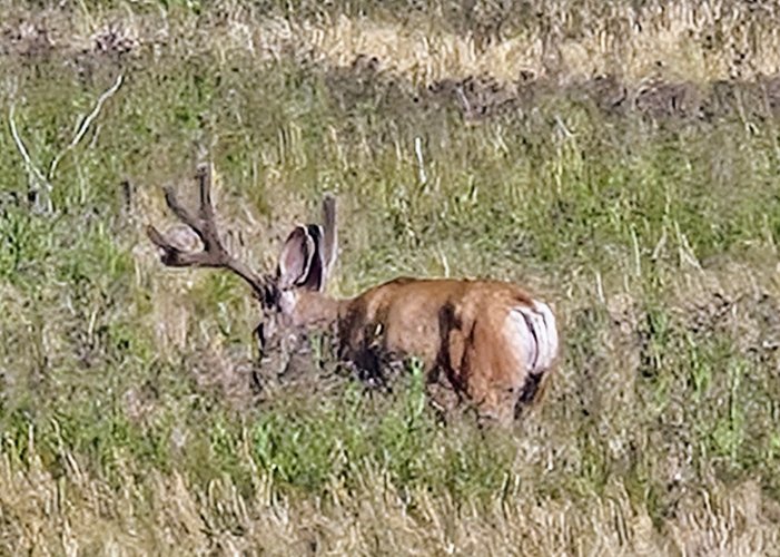 20250708_163456~2.jpg 20250708_163456~2.jpg