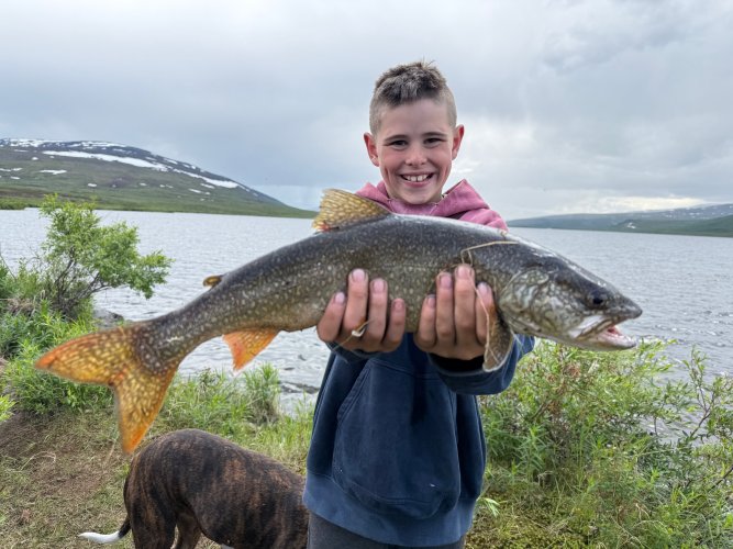 Alaska Lake Trout.jpg