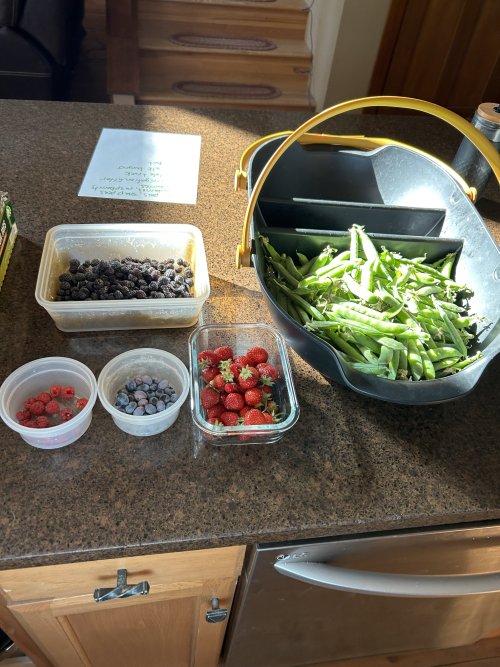 IMG_3226.jpeg IMG_3226.jpeg