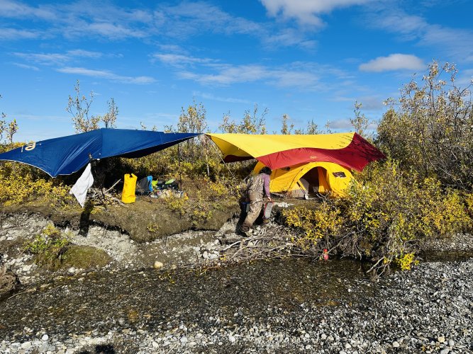 IMG_1338.jpeg IMG_1338.jpeg