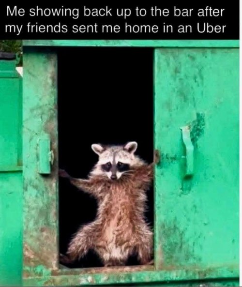 FB_IMG_1751947393239.jpg
