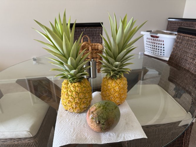 IMG_2109.jpeg IMG_2109.jpeg