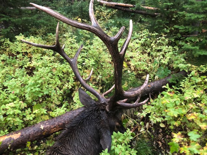 IMG_0227.jpg IMG_0227.jpg