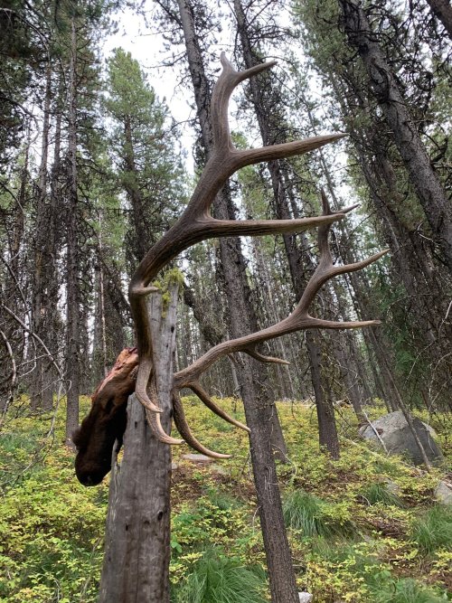 IMG_0235.JPG IMG_0235.JPG