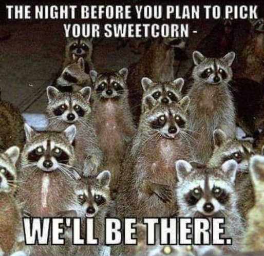 FB_IMG_1752096597304.jpg FB_IMG_1752096597304.jpg