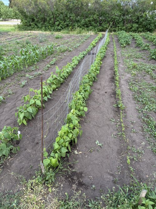 IMG_3585.jpeg IMG_3585.jpeg