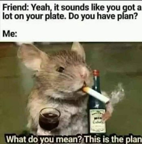 GveBCjWXkAA7LWN.jpeg