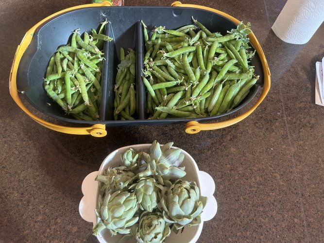 IMG_3249.jpeg IMG_3249.jpeg