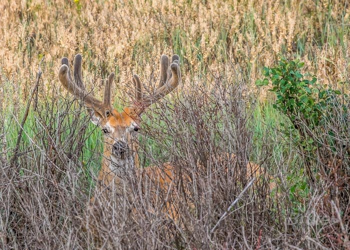 June 2025 a-5158.jpg