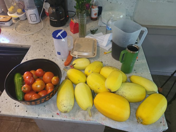 20250713_123021.jpg 20250713_123021.jpg