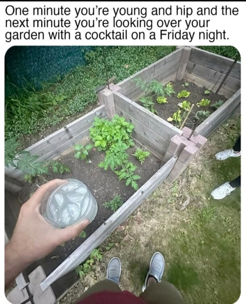 1752443184167.png