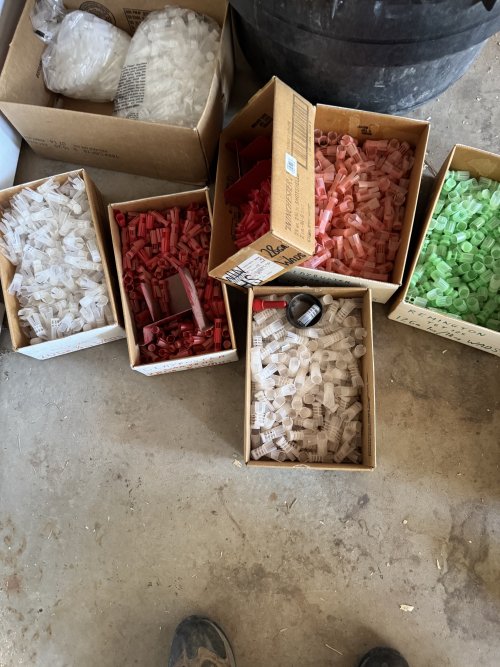 IMG_1717.jpeg IMG_1717.jpeg