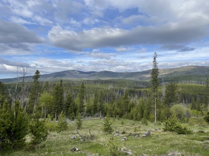 IMG_7445.jpeg IMG_7445.jpeg