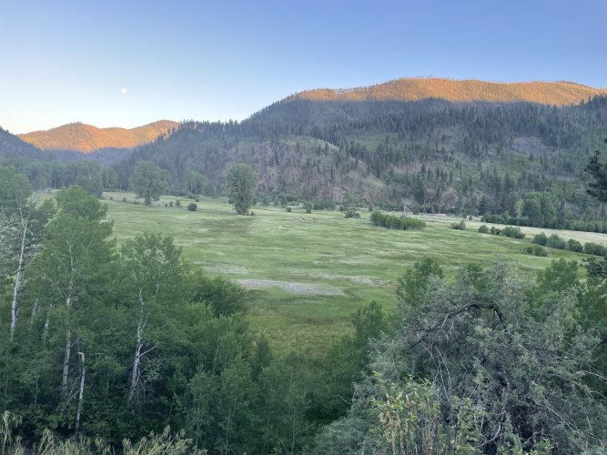 IMG_7491.jpeg IMG_7491.jpeg