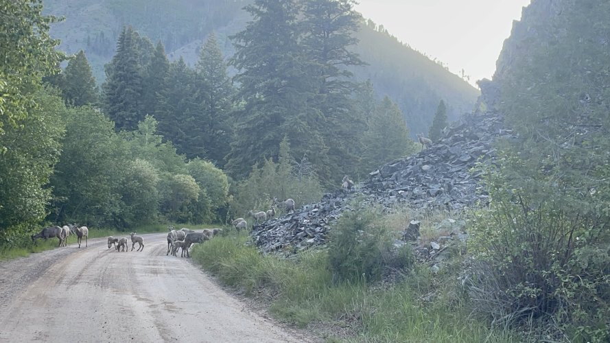 IMG_7483.jpeg IMG_7483.jpeg