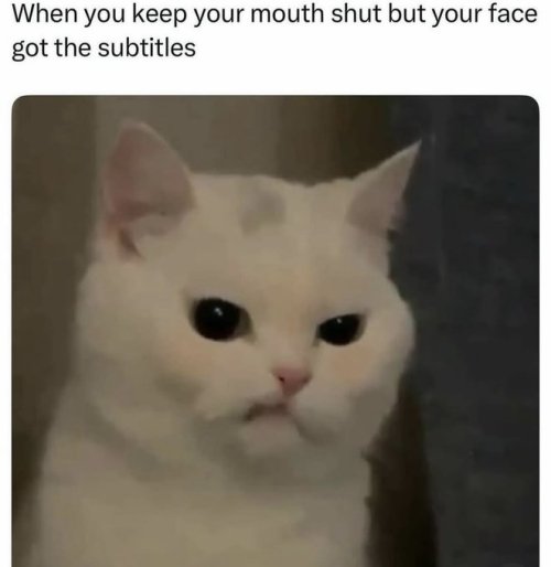 Gvy9BqSawAA18g7.jpeg