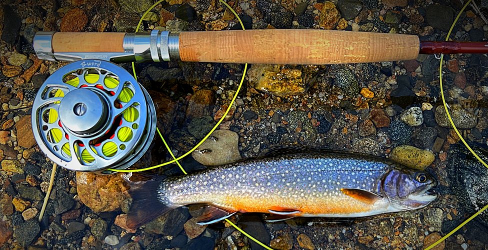 IMG_1122.jpeg IMG_1122.jpeg