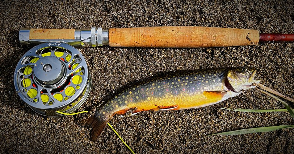 IMG_1114.jpeg IMG_1114.jpeg