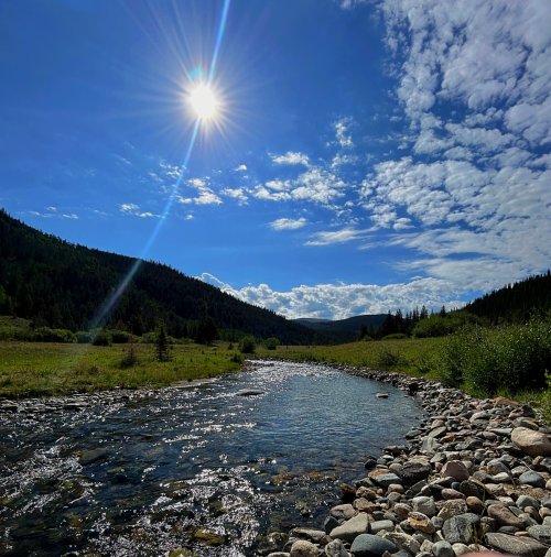 IMG_1123.jpeg IMG_1123.jpeg