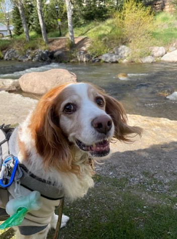 1752533348669.png 1752533348669.png