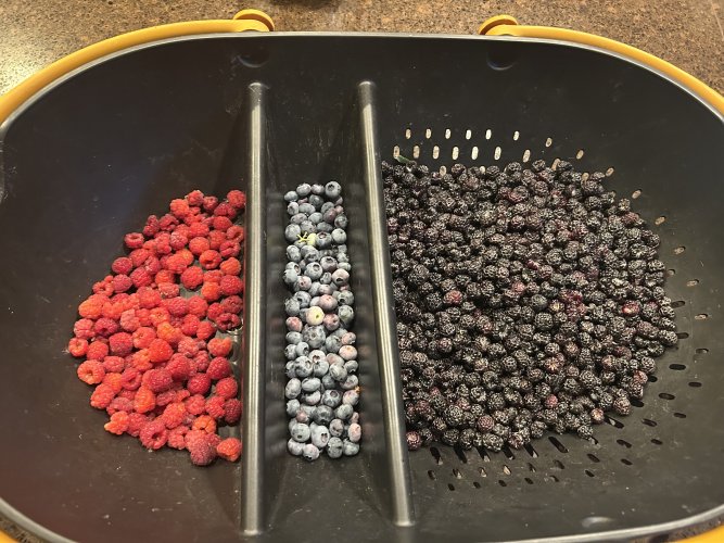 IMG_3294.jpeg IMG_3294.jpeg