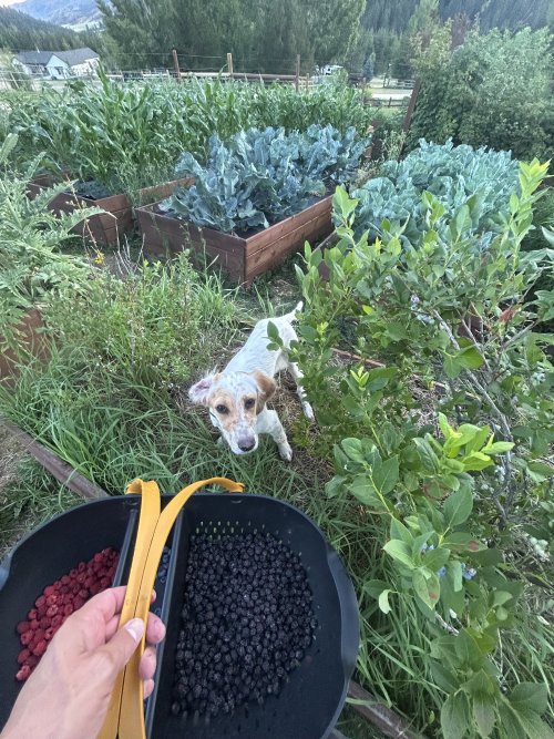 IMG_3293.jpeg IMG_3293.jpeg