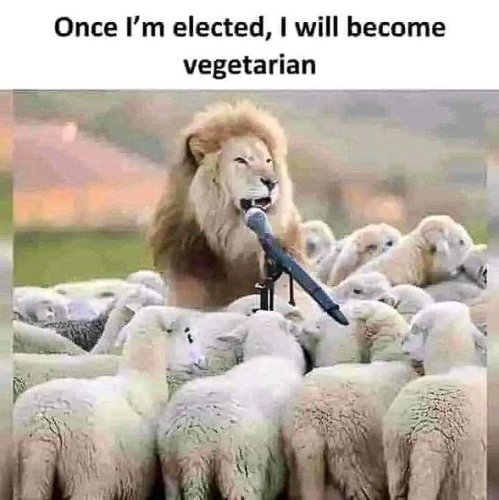 20250706-GvGenuwaAAUTFRp.jpg