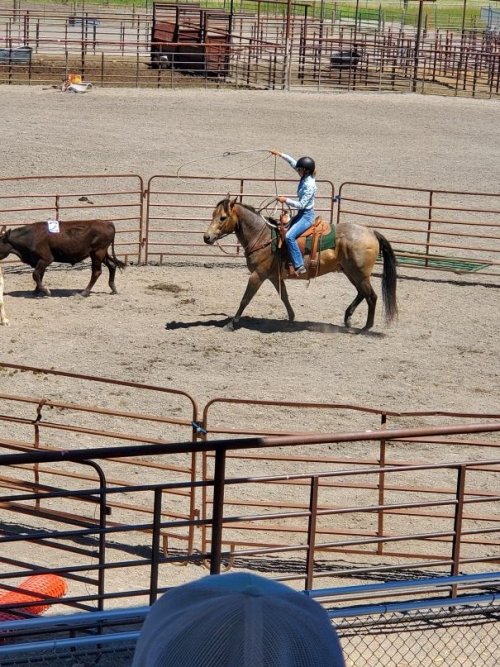 roping.jpg
