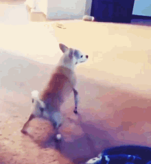 1752592613842.gif 1752592613842.gif
