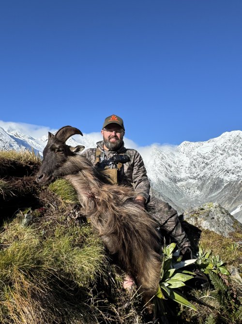 Tahr 3.JPEG
