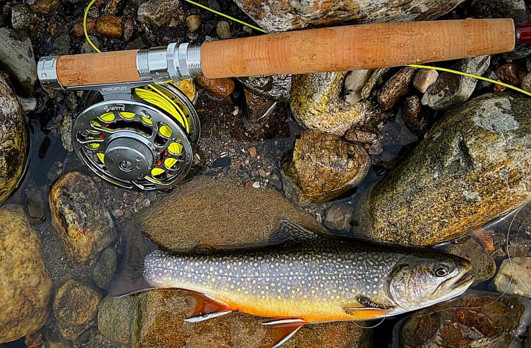 IMG_1215.jpeg IMG_1215.jpeg