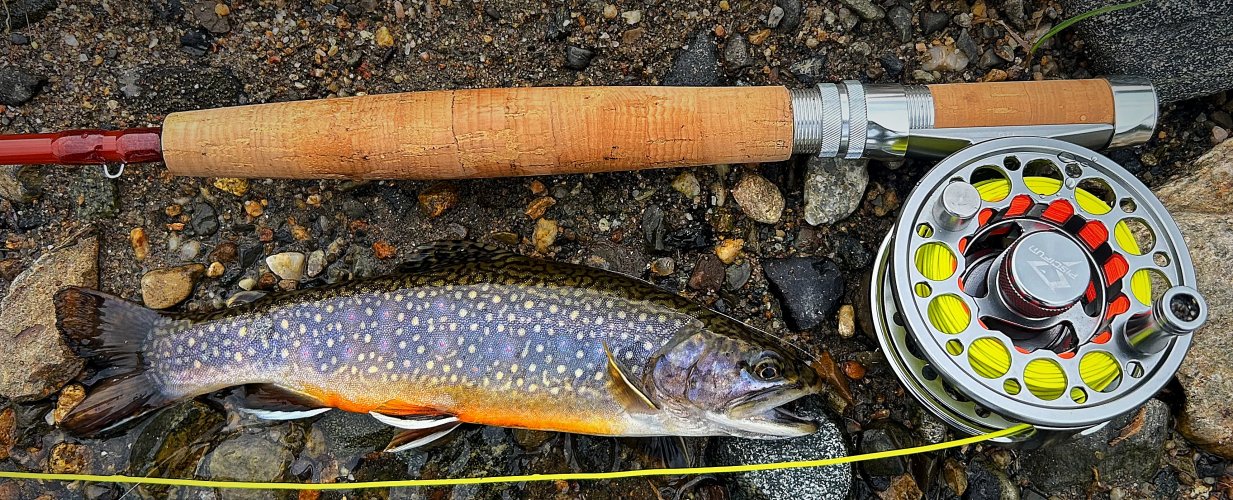 IMG_1216.jpeg IMG_1216.jpeg