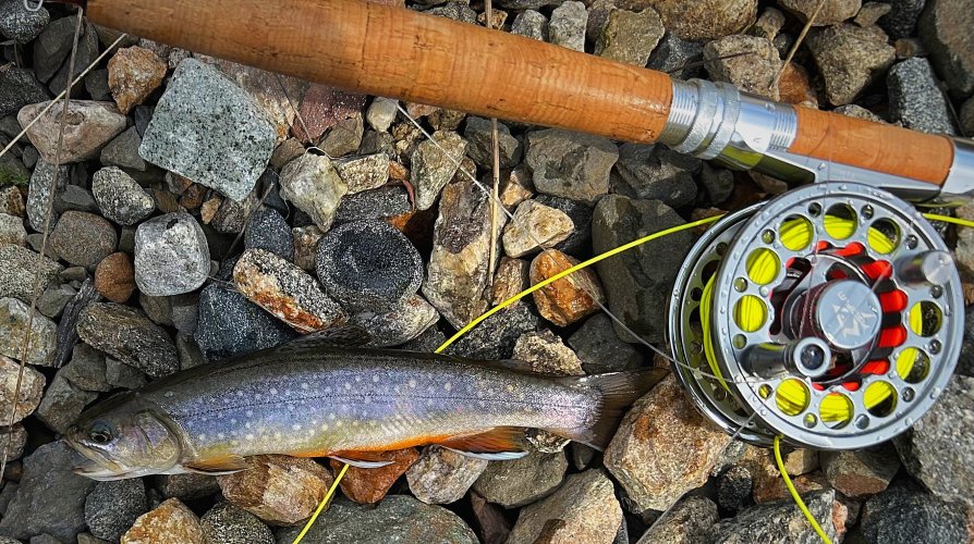 IMG_1214.jpeg IMG_1214.jpeg