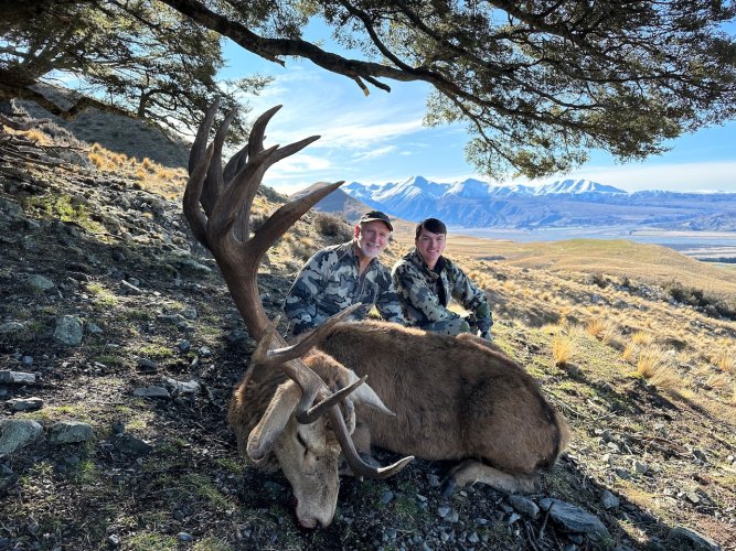 IMG_7329.jpeg IMG_7329.jpeg