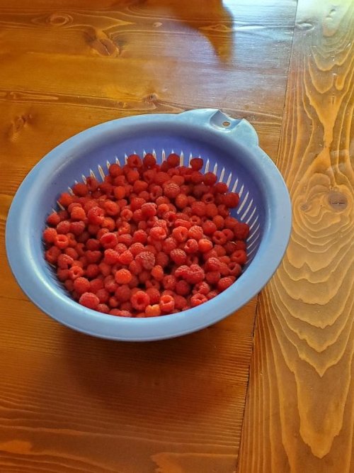 lotsa berries.jpg