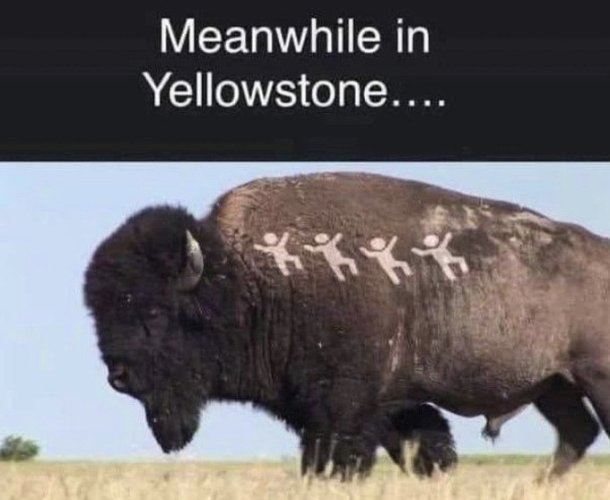 GwECOAEWYAAgAfh.jpeg