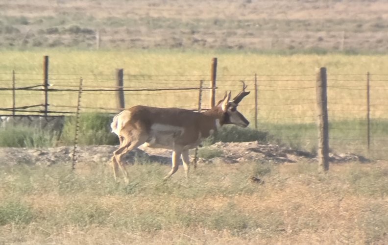 20250719_064934(1).jpg 20250719_064934(1).jpg