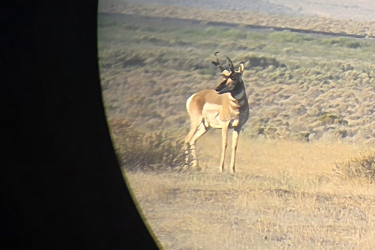 20250719_065109.jpg 20250719_065109.jpg