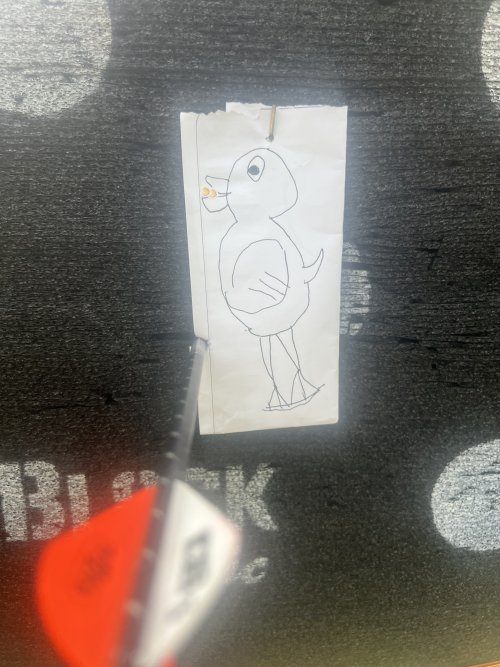 IMG_4865.jpeg IMG_4865.jpeg