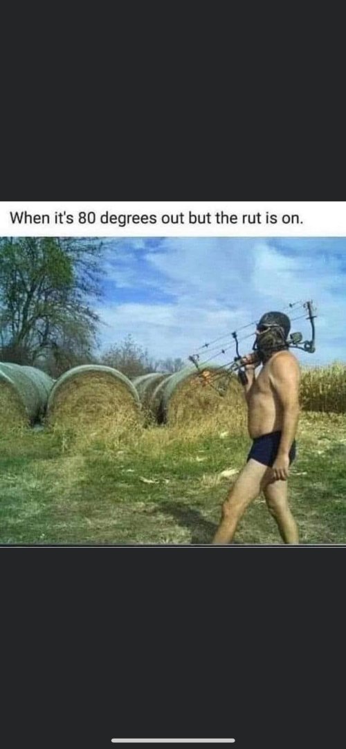 1753131167725.jpeg