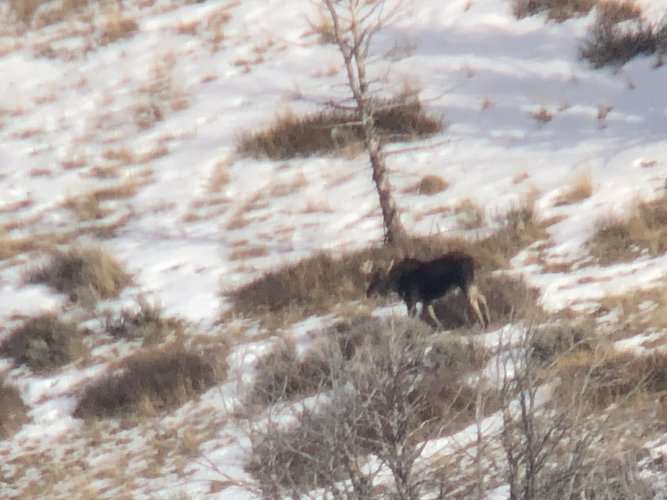 1753231275493.jpeg 1753231275493.jpeg