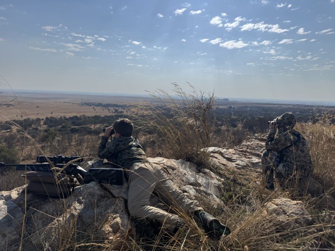 IMG_5452.jpeg IMG_5452.jpeg