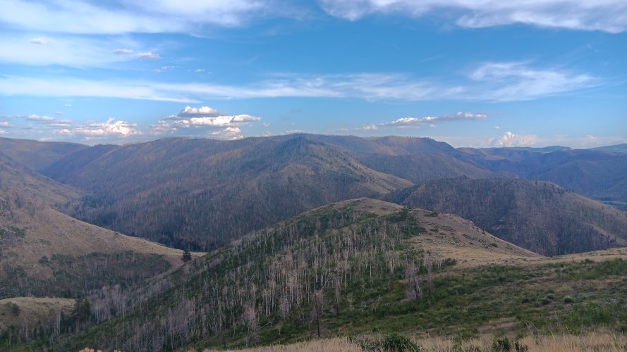 20250712_184813.jpg 20250712_184813.jpg