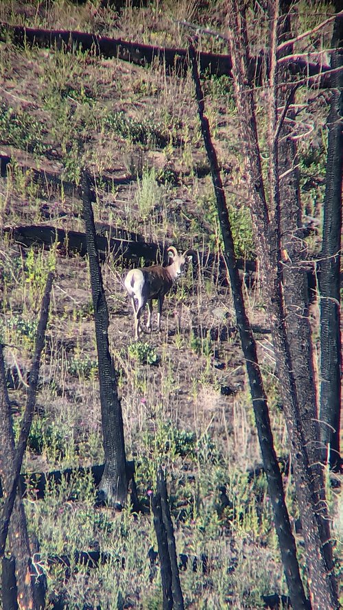 20250720_083811.jpg 20250720_083811.jpg