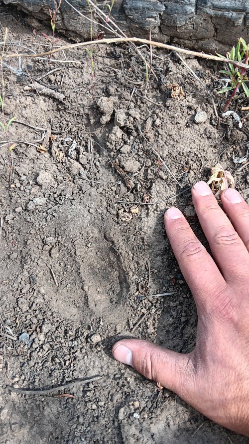 20250720_141321.jpg 20250720_141321.jpg